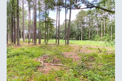 Tbd Hayne Stretch Road Road, Roseboro, NC 28382 - Photo 25