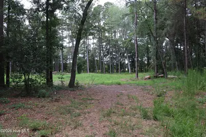 Tbd Hayne Stretch Road Road, Roseboro, NC 28382 - Photo 7