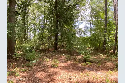 Tbd Hayne Stretch Road Road, Roseboro, NC 28382 - Photo 19