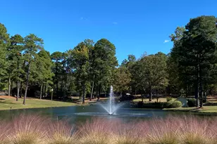 209 Longleaf Dr, West End, NC 27376 - Photo 55