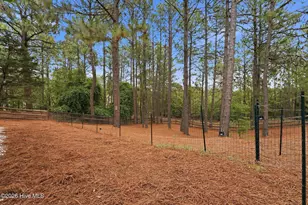 209 Longleaf Dr, West End, NC 27376 - Photo 47