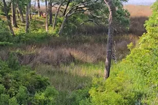 2659 Seashore Rd SW, Supply, NC 28462 - Photo 15