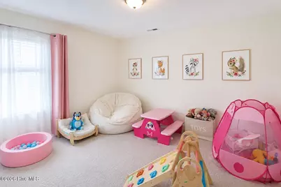 524 Harvest Meadow Crossing, Jacksonville, NC 28546 - Photo 17