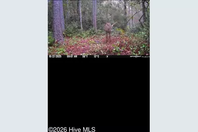 305 Tropical Trail, Beaufort, NC 28516 - Photo 69