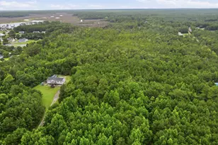 305 Tropical Trail, Beaufort, NC 28516 - Photo 63