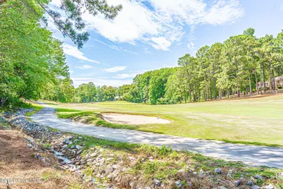 118 Berkshire Court, Seven Lakes, NC 27376 - Photo 49
