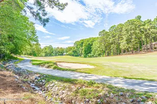 118 Berkshire Ct, Seven Lakes, NC 27376 - Photo 49