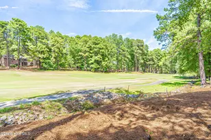118 Berkshire Ct, Seven Lakes, NC 27376 - Photo 47