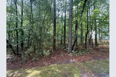 149 Hastings Road, West End, NC 27376 - Photo 3