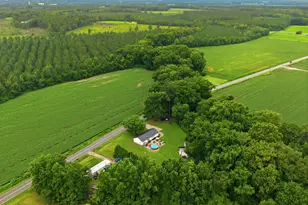 2417 Wildcat Rd, Williamston, NC 27892 - Photo 53