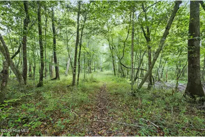 857 Mill River Road, Jacksonville, NC 28540 - Photo 21