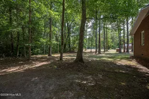 182 Crabapple Ln, Lake Waccamaw, NC 28450 - Photo 53