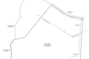 102 Cross Creek Ln, Warne, NC 28909 - Photo 105