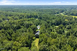 309 Burgaw Creek Loop Rd, Burgaw, NC 28425 - Photo 35