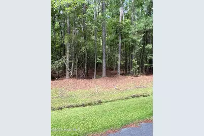 45 Headwaters Drive, Oriental, NC 28571 - Photo 5