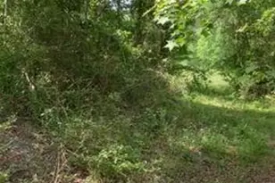 Tbd W Hamlet Ave, Hamlet, NC 28345 - Photo 1