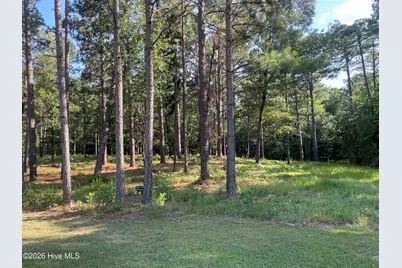 231 Meyer Farm Drive, Pinehurst, NC 28374 - Photo 3