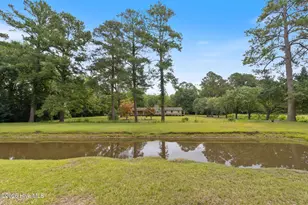 312 N Mitchell Ford Rd, Clarkton, NC 28433 - Photo 43