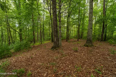 48 Puma Lane, Murphy, NC 28906 - Photo 41