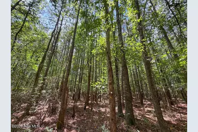 04 Titan Roberts Road, Erwin, NC 28339 - Photo 11