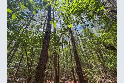 04 Titan Roberts Road, Erwin, NC 28339 - Photo 15