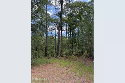 532 Old Hoover Bridge Road, Elizabethtown, NC 28337 - Photo 3