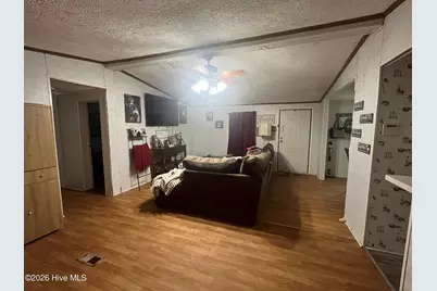 126 Spring Road, Blenheim, SC 29516 - Photo 5