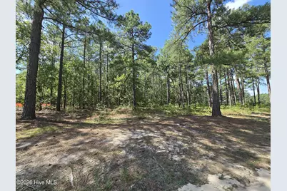 Tbd Peach Orchard Road, Wagram, NC 28396 - Photo 1