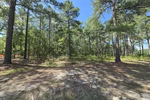 Tbd Peach Orchard Rd, Wagram, NC 28396 - Photo 1