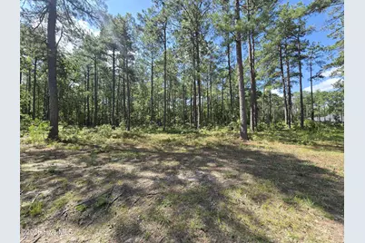 Tbd Peach Orchard Road, Wagram, NC 28396 - Photo 1