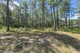 Tbd Peach Orchard Rd, Wagram, NC 28396 - Photo 1