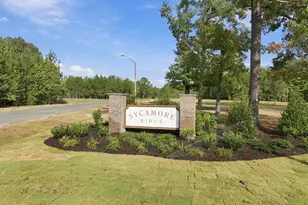 158 Vista Ridge Ave, Sanford, NC 27332 - Photo 3