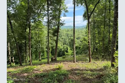 Lot 25 Bryson Creek Drive, Murphy, NC 28906 - Photo 3