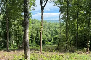 Lot 25 Bryson Creek Dr, Murphy, NC 28906 - Photo 1