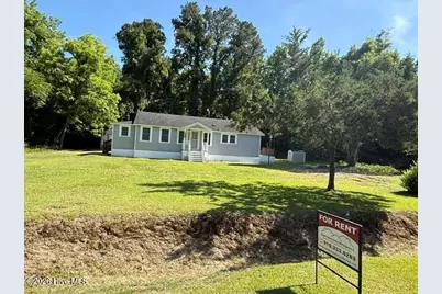 128 Peterson Hill Avenue, Burgaw, NC 28425 - Photo 3