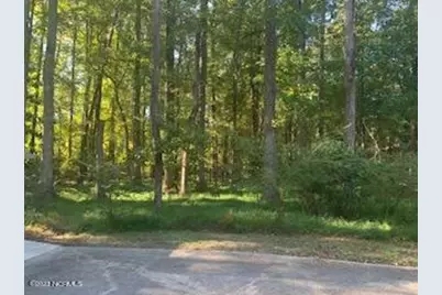255 Bronwyn Street, Southern Pines, NC 28387 - Photo 33
