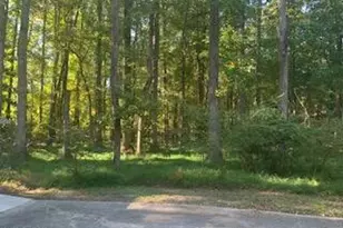 255 Bronwyn St, Southern Pines, NC 28387 - Photo 33