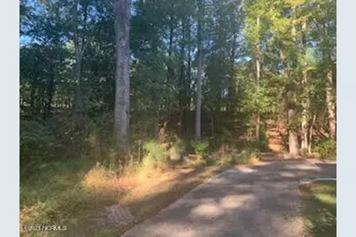 255 Bronwyn Street, Southern Pines, NC 28387 - Photo 35