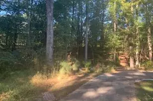 255 Bronwyn St, Southern Pines, NC 28387 - Photo 35