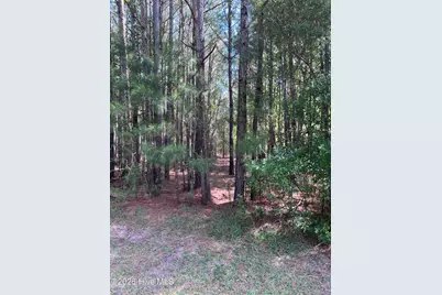 42 Windy Point, Belhaven, NC 27810 - Photo 5