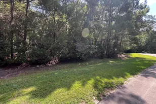 42 Windy Point, Belhaven, NC 27810 - Photo 1