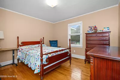 1612 Doolittle Mill Road, Conway, NC 27820 - Photo 27