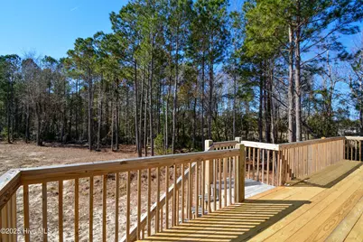320 Belt Road, Hampstead, NC 28443 - Photo 33