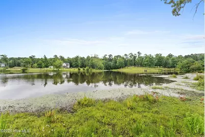 3371 Tom Bartles Road, Appling, GA 30802 - Photo 53