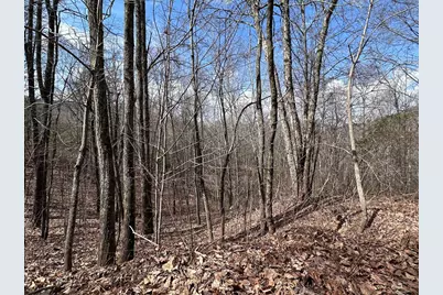 Tbd Pack Mountain Road, Murphy, NC 28906 - Photo 27