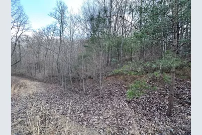 Tbd Pack Mountain Road, Murphy, NC 28906 - Photo 29