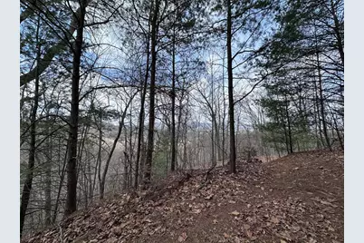 Tbd Pack Mountain Road, Murphy, NC 28906 - Photo 23