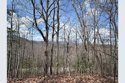 Tbd Pack Mountain Road, Murphy, NC 28906 - Photo 19