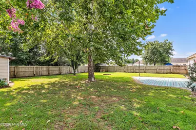 403 Arabian Lane, Swansboro, NC 28584 - Photo 47