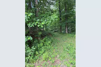 Lot 4 Outlook Road, Murphy, NC 28906 - Photo 5